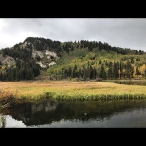 Meet your Posher, Mckenna